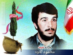 پست دختر شهید محمود کاوه به مناسبت شهادت پدر +فیلم