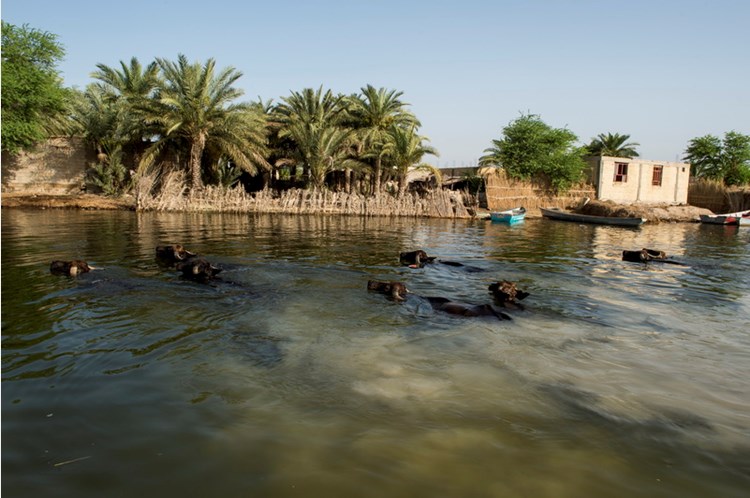 گردشگری خوزستان