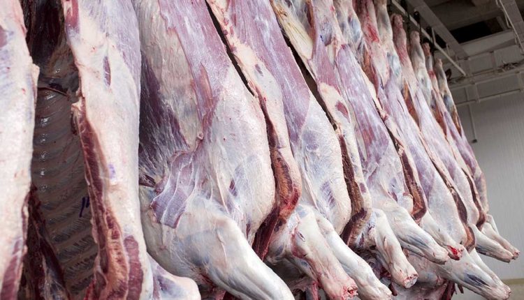 فروش مستقیم گوشت توسط تولیدکنندگان از شنبه کلید می&zwnj;خورد