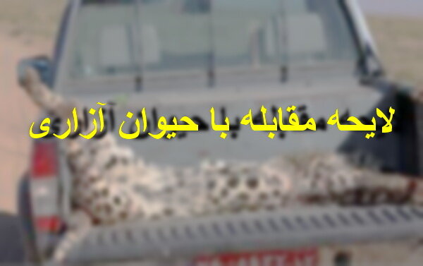 سرانجام لایحه مقابله با حیوان آزاری به کجا رسید؟