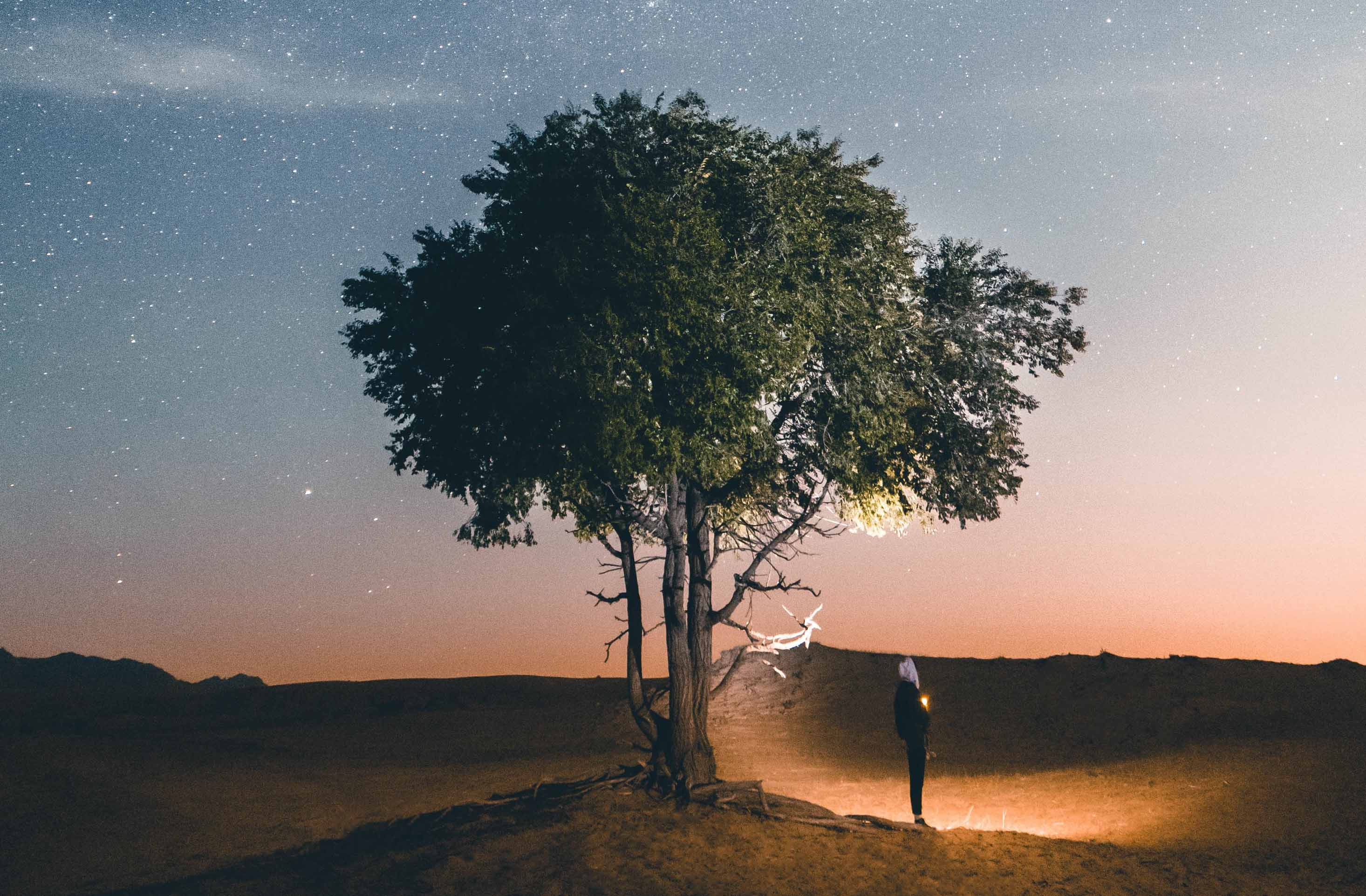 برترین تصاویر پس&zwnj;زمینه (۵ شهریور)