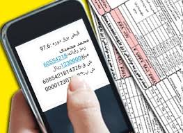 حذف پایان نامه‌های کاغذی برای حمایت از کاهش پسماند/ تاکید سازمان محیط زیست بر حذف قبض‌های کاغذی