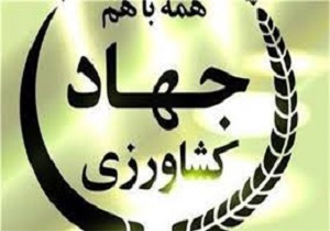 ضرورت تعامل و همکاری جهاد کشاورزی با نظام صنفی کشاورزی
