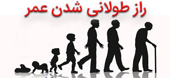 عاملی که عمر شما را طولانی می‌کند