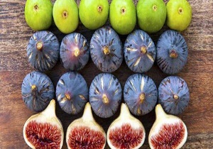 برگزاری جشنواره توت و انجیر در روستای گردشگری گلال