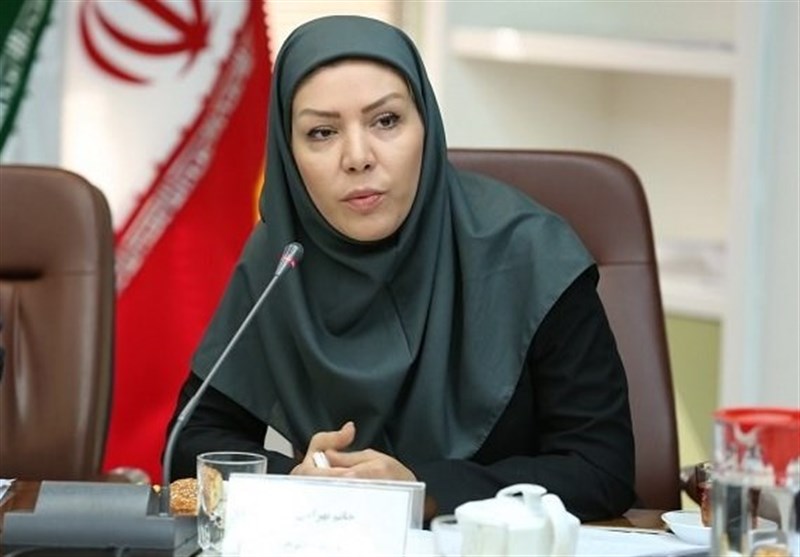 رشد ۶۶ درصدی صندوق ضمانت صادرات ایران نسبت به سال گذشته