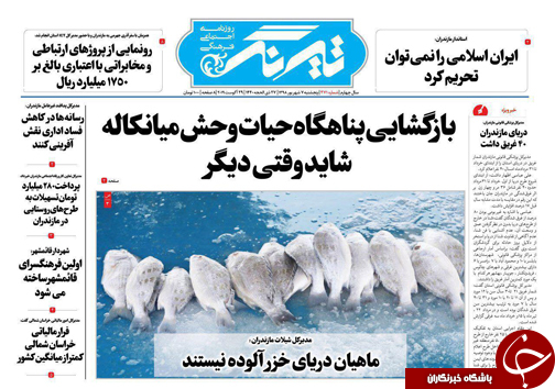 بازگشایی پناهگاه حیات وحش میانکاله شاید وقتی دیگر/ گذر پوست بیمار&zwnj;ها به دباغ خانه بیمارستان ها!