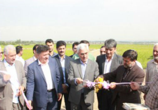 نوسازی اراضی شالیزاری گلستان