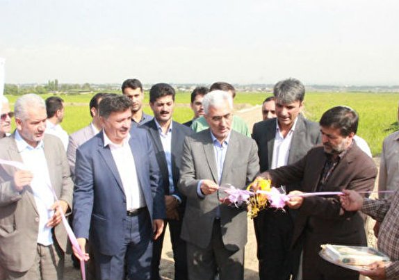 نوسازی اراضی شالیزاری گلستان
