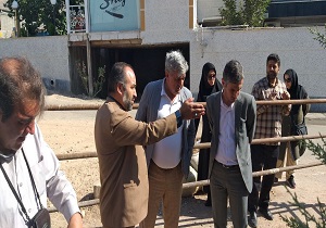 پایش منظم گسل‌های فعال در دستور کار قرار گرفته است