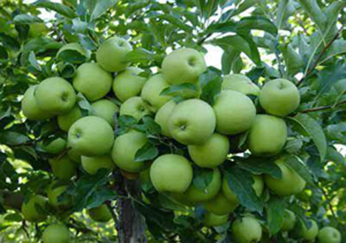 نگاهی گذرا به مهمترین رویداد&zwnj;های پنج شنبه ۷ شهریورماه در مازندران