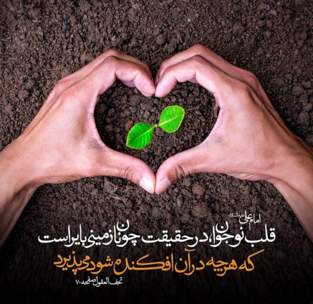 حدیثی از امام علی(ع) در خصوص ویژگی قلب نوجوان +تصویرنوشته