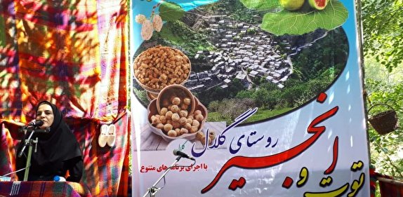 فرصت توسعه گردشگری در کرمانشاه فراهم شده است