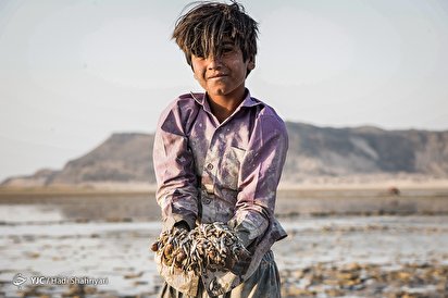 مرگ ماهیان هامون