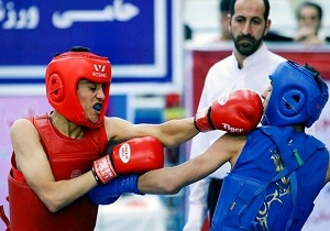 آذربایجان&zwnj;شرقی قهرمان مسابقات کشوری ووشو شد