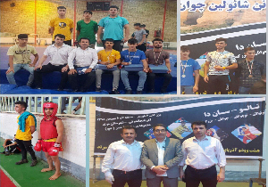 کسب ۴ مدال رنگارنگ حاصل کار سانداکاران  مهابادی
