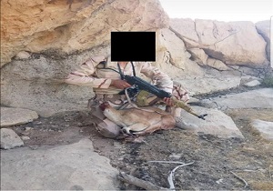دستگیری عامل شکار یک راس بز کوهی در بهبهان
