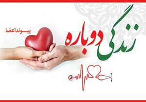 بیست و چهارمین ایثار ماندگار سال جاری در یزد انجام شد