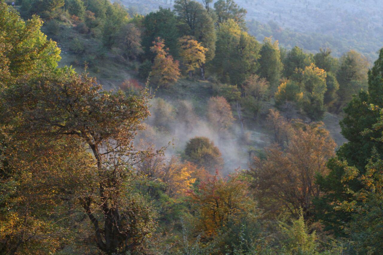 نمایی از طبیعت پاییزی در شاهرود + تصاویر