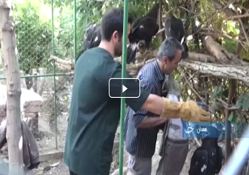 ناگفته های عملیات خطرناک هوانیروز در روز اول جنگ تا کم&zwnj; لطفی مسئولان به گلبال نابینایان +فیلم