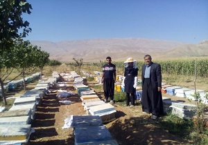 سرشماری کلنی‌های زنبور عسل فارسان توسط ۱۴ کارشناس