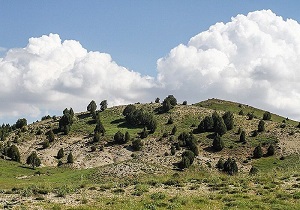 صدور سند تک برگ برای ۴۲ درصد از اراضی ملی چهارمحال و بختیاری