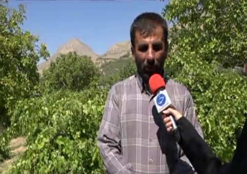 به اسم باغدار به کام دلال به اسم باغدار به کام دلال