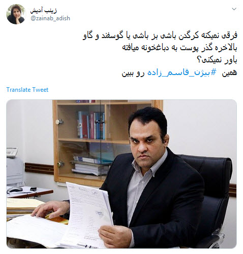 #بیژن_قاسم_زاده /