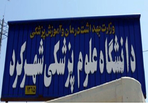 مردم روستای چنارمحمودی با خویشتن اخبار را از مراجع رسمی پیگیری کنند