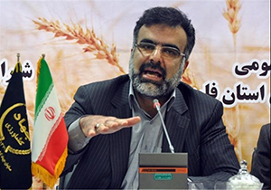 تلاش برای افزایش قیمت تضمینی کلزا تا ۵ هزار تومان