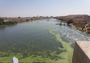 افزایش خروجی سد رودشتین به سمت تالاب گاوخونی