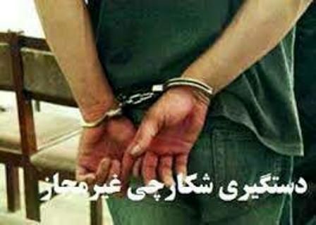 دستگیری ۷۱۱ متخلف شکار و صید در فارس