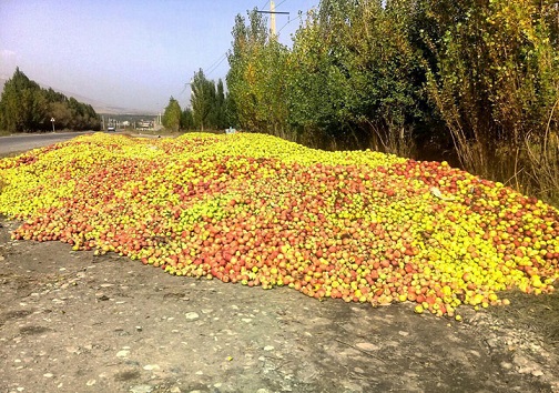 حکایت دردناک 