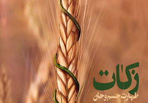 پرداخت ۴۱۰ میلیارد تومان زکات در سال ۹۸