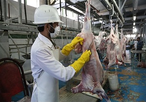 فعالیت ۱۵ باب کشتارگاه صنعتی و سنتی در اردبیل/ذبح بیش از ۱۳ میلیون قطعه طیور