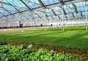 آغاز عملیات اجرایی ۱۰۰ طرح آبخیزداری ‌در خراسان جنوبی