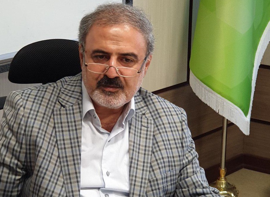 شبکه دو