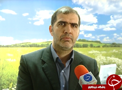 نفس&zwnj;هایی که به شماره افتاده اند
