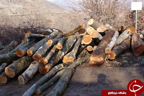 نفس&zwnj;هایی که به شماره افتاده اند