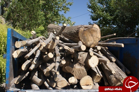 نفس&zwnj;هایی که به شماره افتاده اند