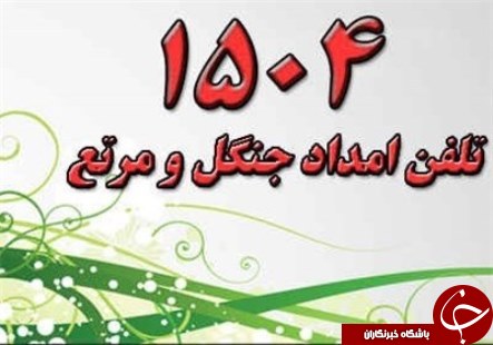 نفس&zwnj;هایی که به شماره افتاده اند