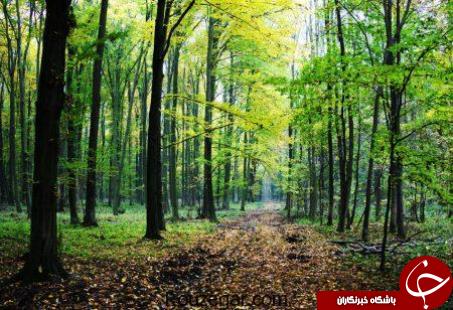 نفس&zwnj;هایی که به شماره افتاده اند