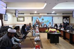 شناسایی ۲۳۹ مورد جدید بروسلولز در نیشابور و فیروزه