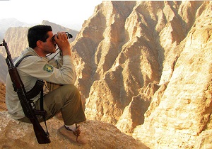استخدام ۱۱محیط بان در استان لرستان