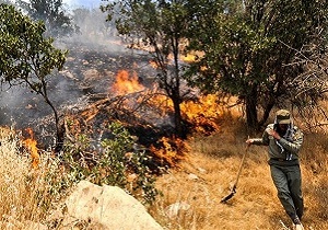 سوختن ۴۵ هکتار از منابع طبیعی سمنان در آتش سهل انگاری انسان