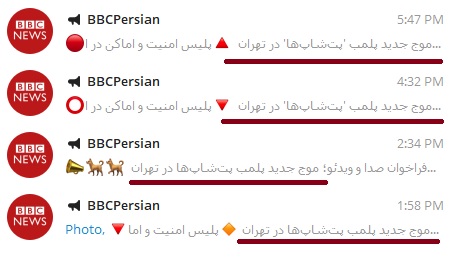 دغدغه لاکچری ضد انقلاب برای ایران / ماجرای پلمپ یک  پت شاپ در پایتخت چه بود؟