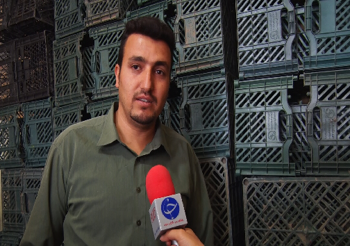 تولید انگور و معضلاتی که کشاورزان ناحیه را درگیر کرده تولید انگور و معضلاتی که کشاورزان ناحیه را درگیر کرده