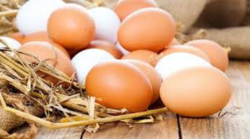 برگزاری مراسم روز جهانی تخم مرغ در آذربایجان شرقی