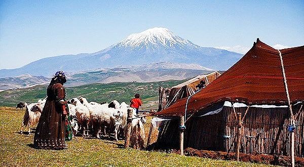 عشایر دام‌های خود را بیمه کنند