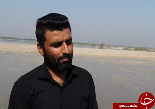 یکصد و ۵۰ هکتار زمین کشاورزان حلاف، همچنان غرق در سیلاب / دوراهی تامین نان یا گازوئیل یکصد و ۵۰ هکتار زمین کشاورزان حلاف، همچنان غرق در سیلاب / دوراهی تامین نان یا گازوئیل